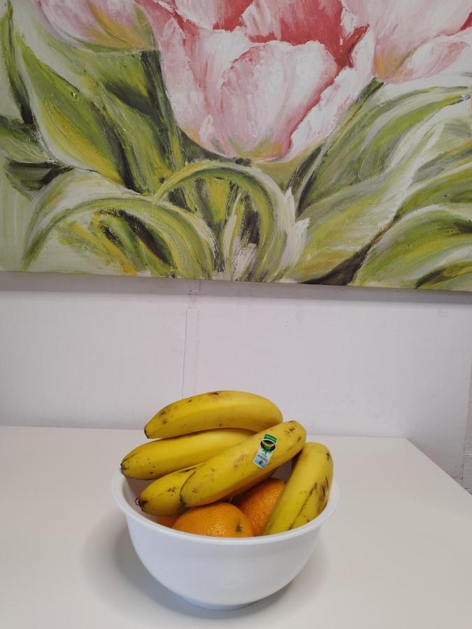Apartamento Vida Mediterranea Apartman Puerto de la Cruz Kültér fotó